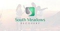 South Meadows Recovery