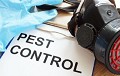 Plano Pest Control Experts